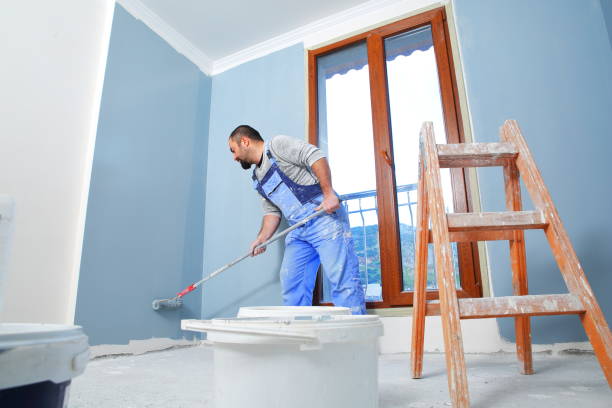 Professional Drywall & Painting Services in Rainbow Park, FL